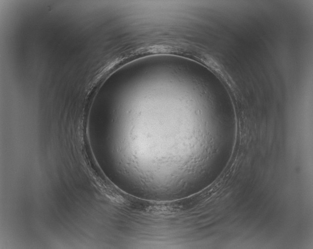 X0000058800297200509301214