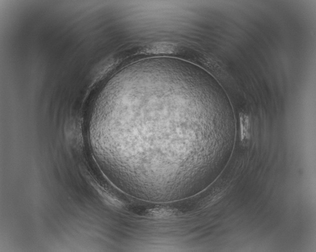 X0000058800300200509301214