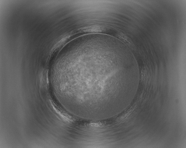 X0000058800302200509301214