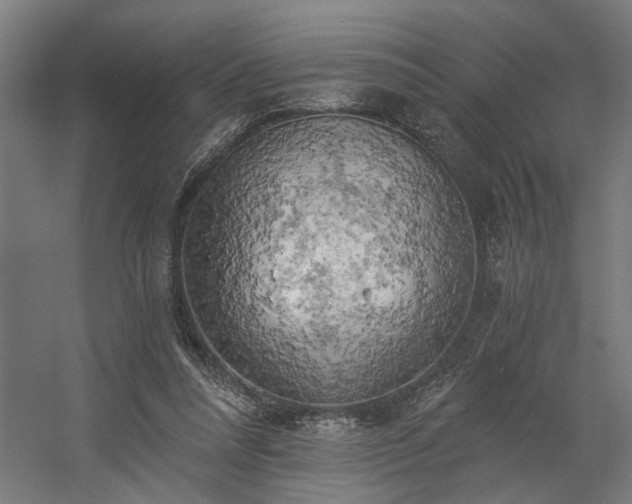 X0000058800304200509301214