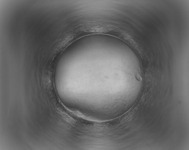 X0000058800305200509301214