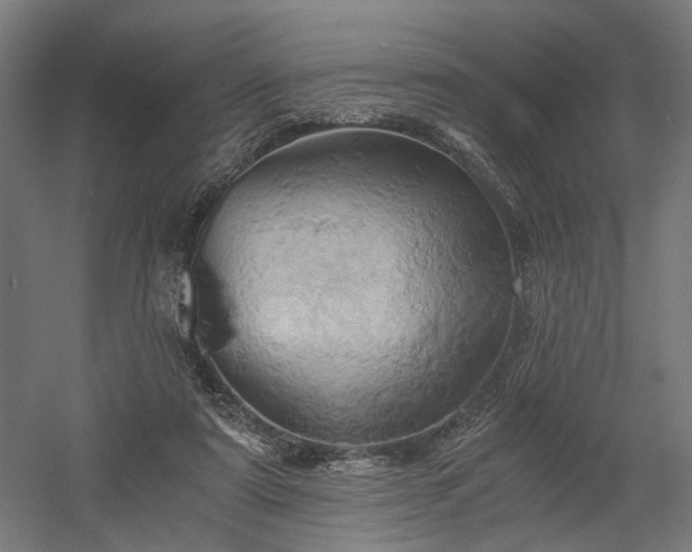 X0000058800307200509301214