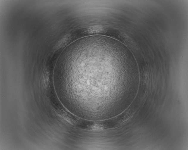 X0000058800308200509301214