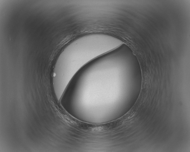 X0000058800309200509301214