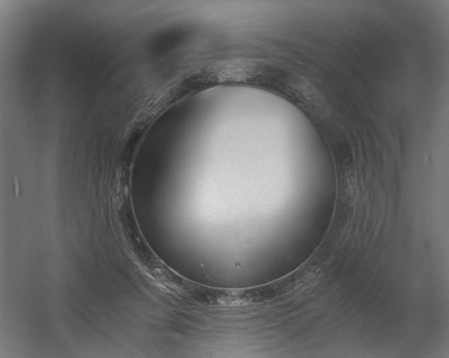X0000058800311200509301214
