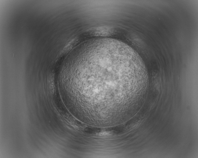 X0000058800312200509301214