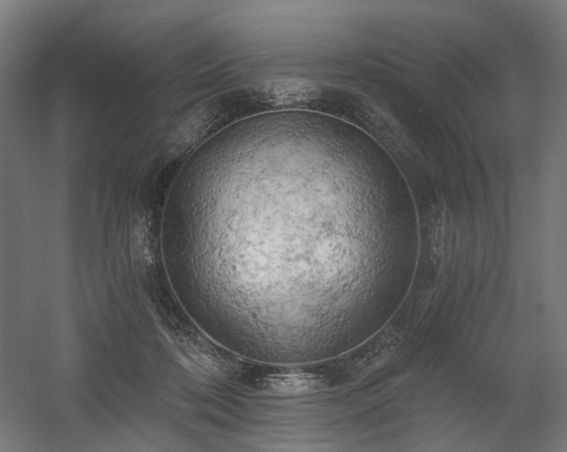 X0000058800316200509301214