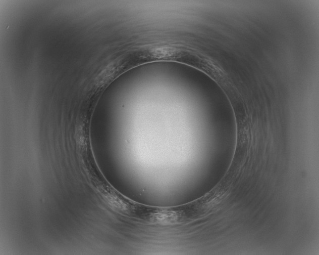X0000058800317200509301214
