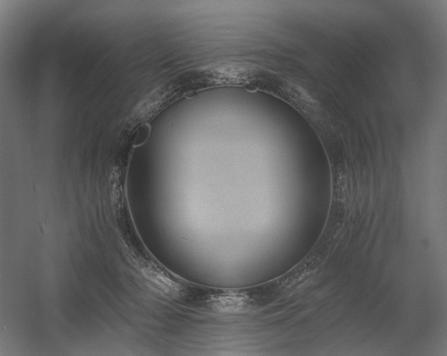X0000058800318200509301214