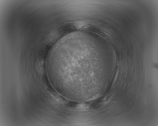X0000058800319200509301214