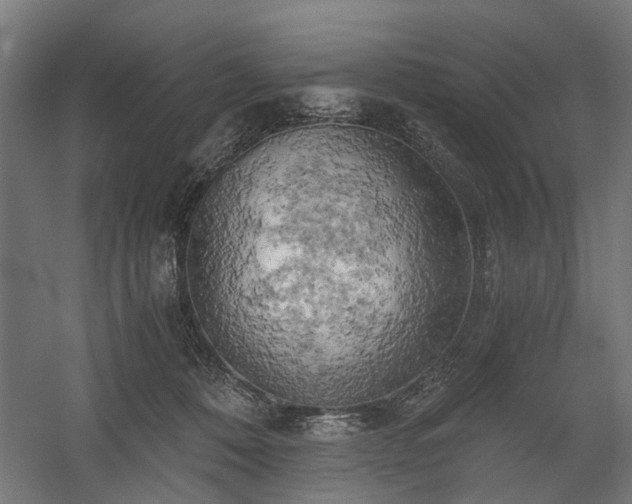 X0000058800320200509301214