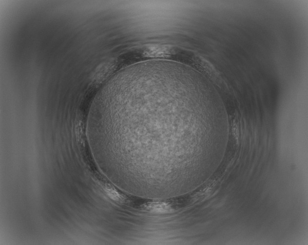 X0000058800322200509301214