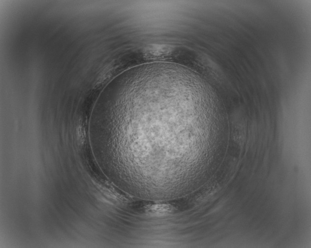 X0000058800324200509301214
