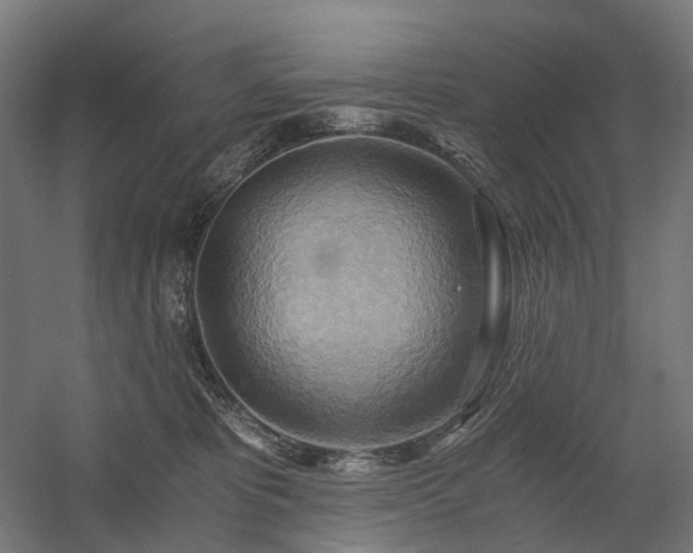 X0000058800325200509301214