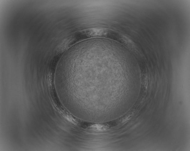 X0000058800326200509301214