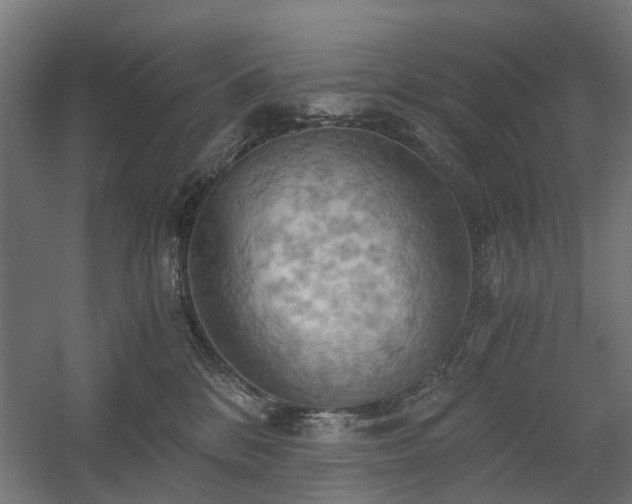 X0000058800328200509301214