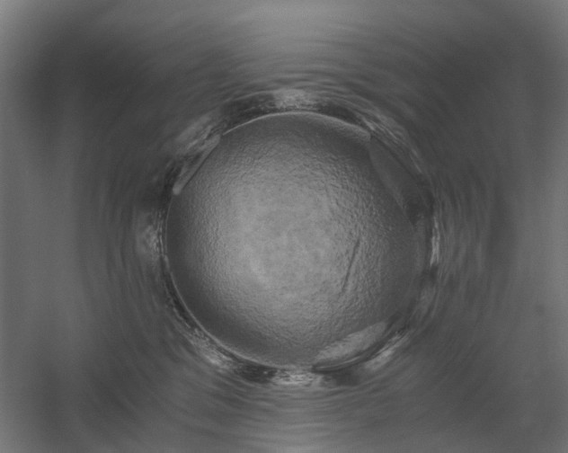 X0000058800329200509301214