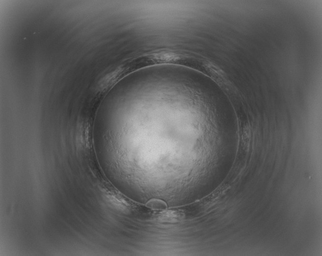 X0000058800330200509301214
