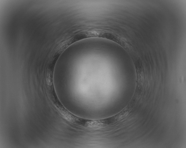 X0000058800331200509301214