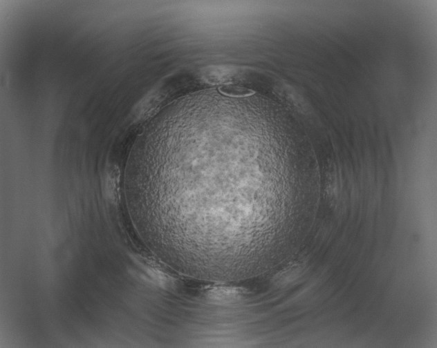X0000058800332200509301214