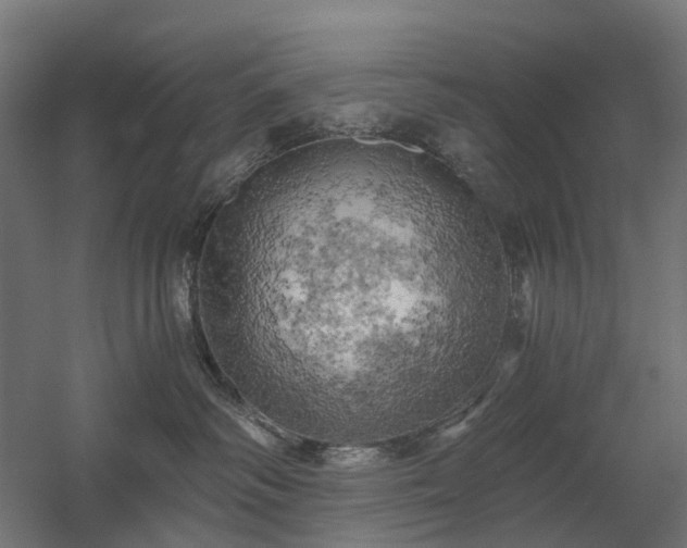 X0000058800334200509301214