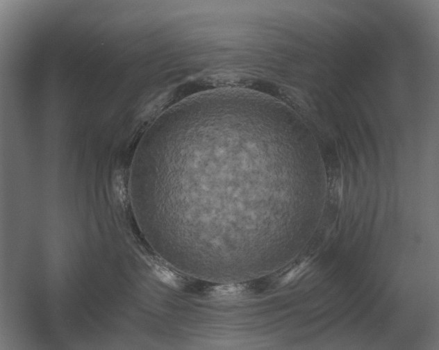 X0000058800335200509301214