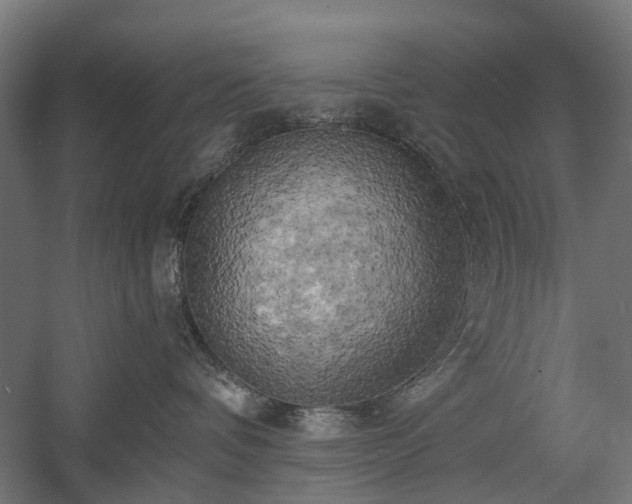 X0000058800336200509301214