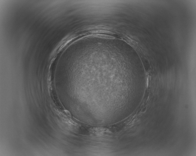 X0000058800339200509301213