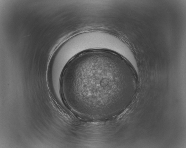 X0000058800340200509301213