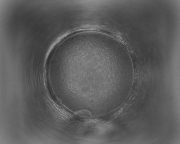 X0000058800342200509301213