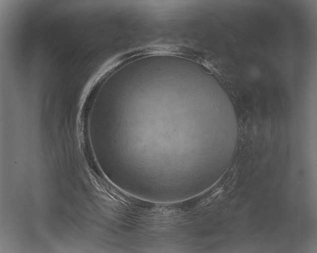 X0000058800343200509301213