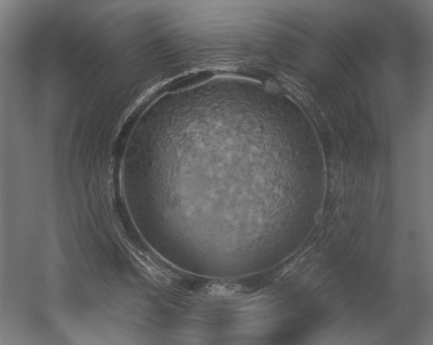 X0000058800346200509301213