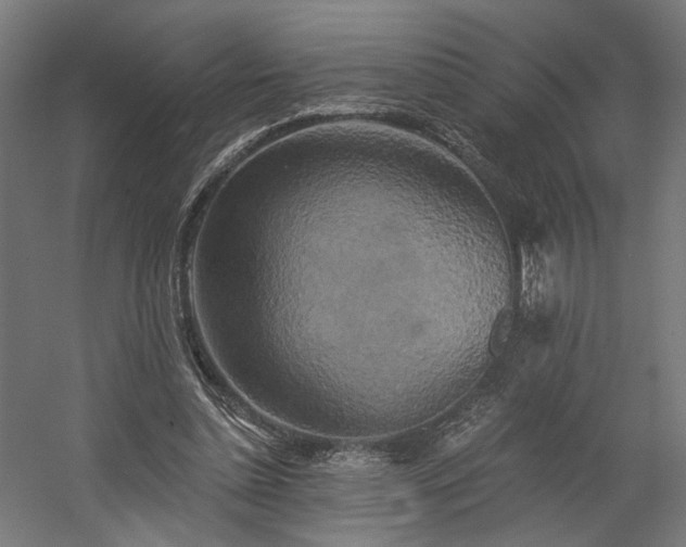 X0000058800348200509301213