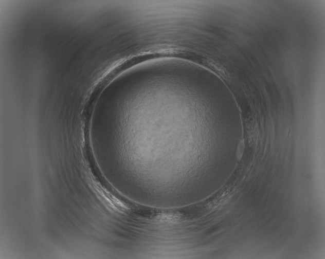X0000058800350200509301213