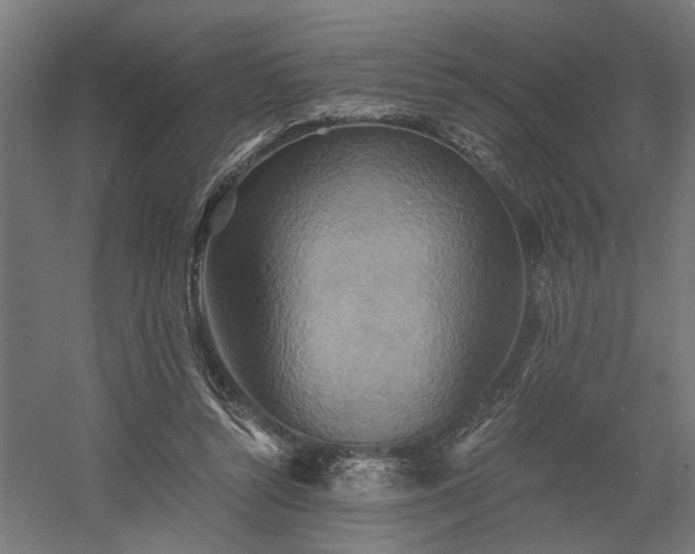 X0000058800352200509301213
