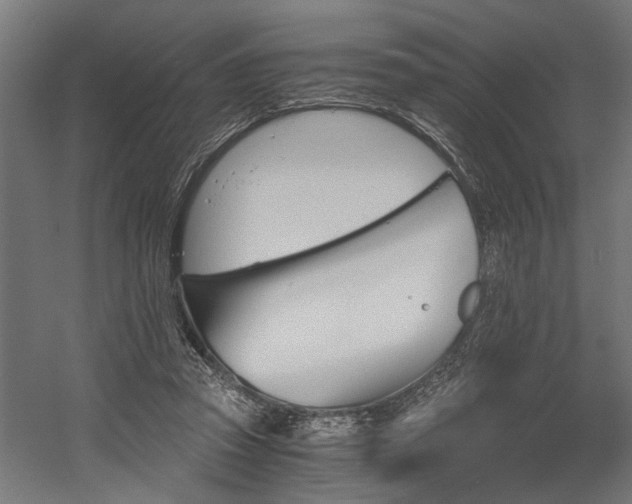X0000058800353200509301213