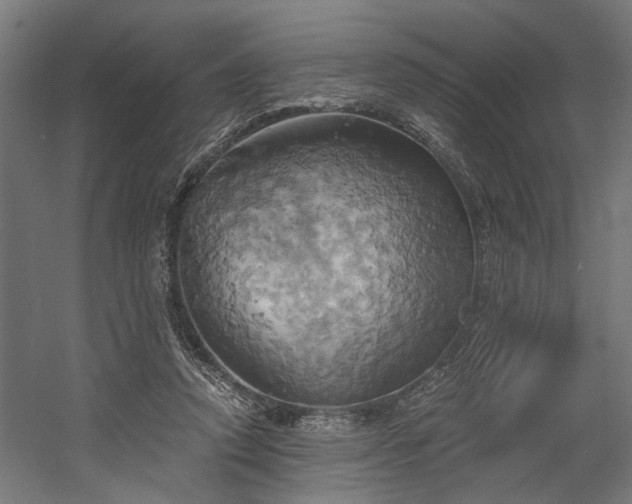 X0000058800354200509301213