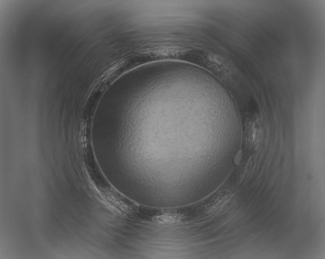 X0000058800356200509301213