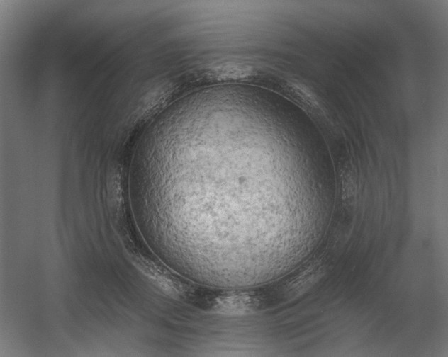 X0000058800362200509301213