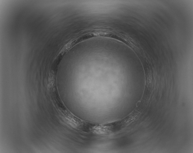 X0000058800367200509301213