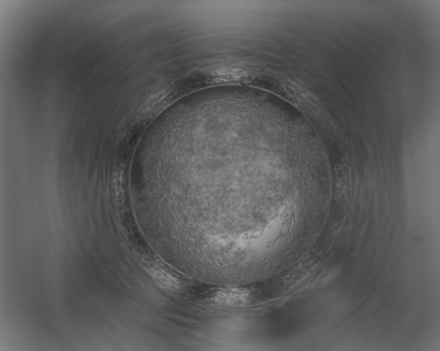 X0000058800369200509301213
