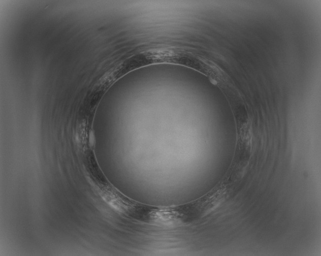 X0000058800372200509301213