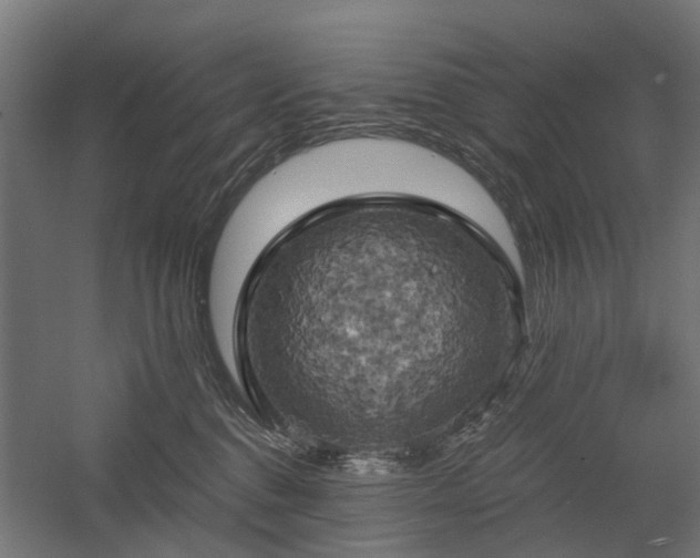 X0000058800376200509301213