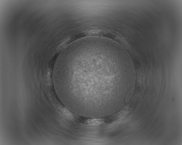 X0000058800378200509301213