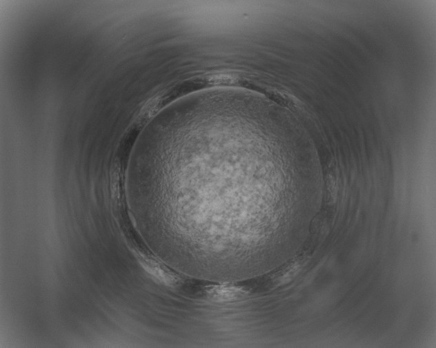 X0000058800379200509301213