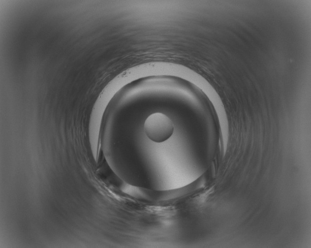 X0000058800380200509301213