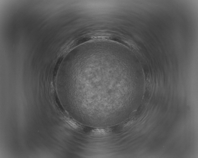 X0000058800381200509301214