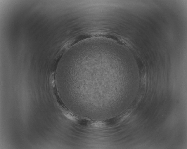 X0000058800383200509301214