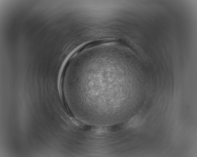 X0000058800384200509301214