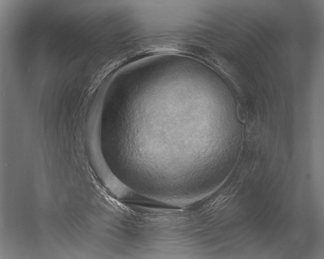 X0000058800385200509301213